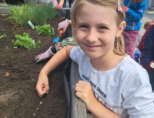 Kräuter, Blumen und viele fleißige Hände der Klasse 1S